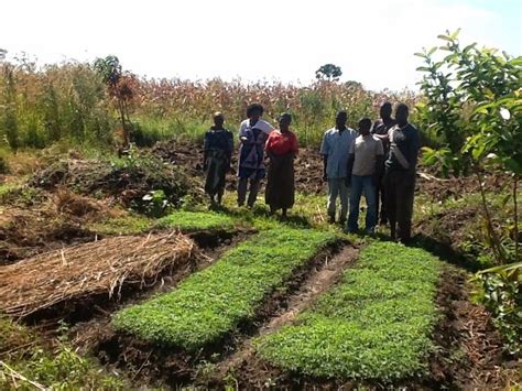 Africa Windmill Project: HIV and Subsistence Farming