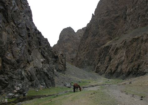 Visit The Gobi Desert on a trip to Mongolia | Audley Travel