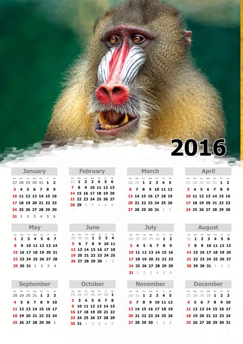 2016 Annual Calendar II Free Stock Photo - Public Domain Pictures