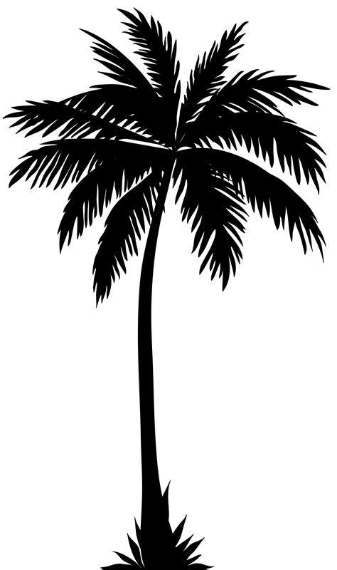 pool chair palm tree black white clipart 20 free Cliparts | Download images on Clipground 2024