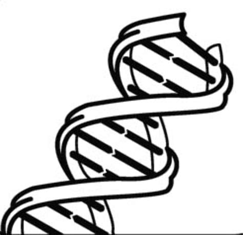 Download High Quality dna clipart black Transparent PNG Images - Art Prim clip arts 2019