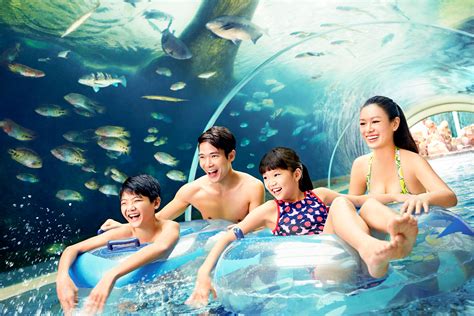 Book Adventure Cove Tickets 2024 – Save Up To 10% on Combos