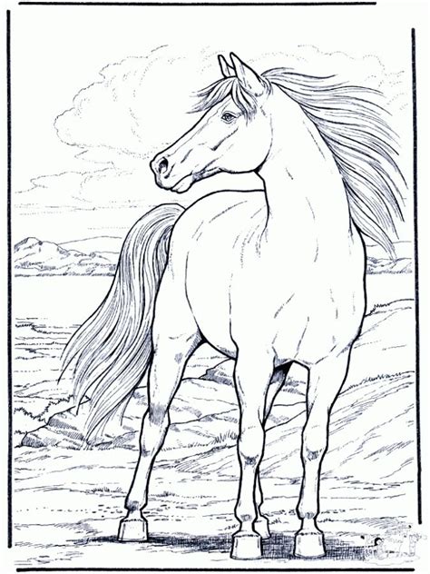 Hard coloring pages of realistic Horse for adults - Letscolorit.com ...