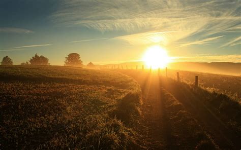 morning, Nature, Sun Rays, Landscape, Sunlight, Field Wallpapers HD / Desktop and Mobile Backgrounds