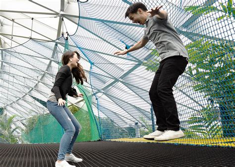 Canopy Park at Jewel Changi: the ultimate parent's guide | HoneyKids Asia