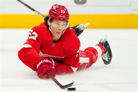 Red Wings training camp: Questions for Ville Husso, Simon Edvinsson and ...