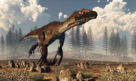 Utahraptor vs Velociraptor: Who Would Win in a Fight? - A-Z Animals