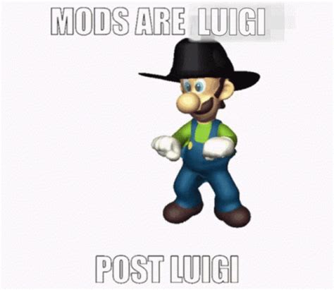 Luigi The Mods Are Luigi GIF - Luigi The Mods Are Luigi Discord ...