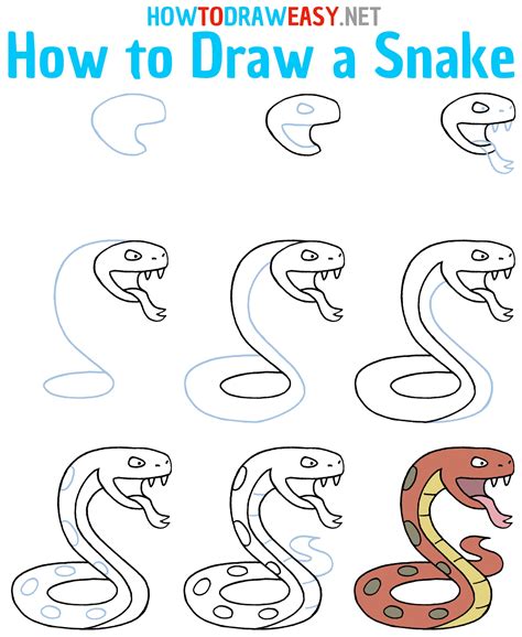 How To Draw A Realistic Snake Step By Step Guide – Rainy Weathers