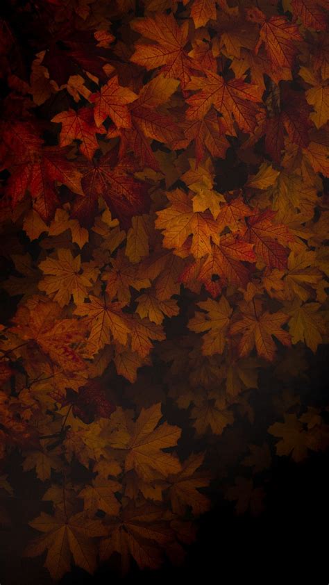 Dark Autumn Leaves Wallpapers - Wallpaper Cave