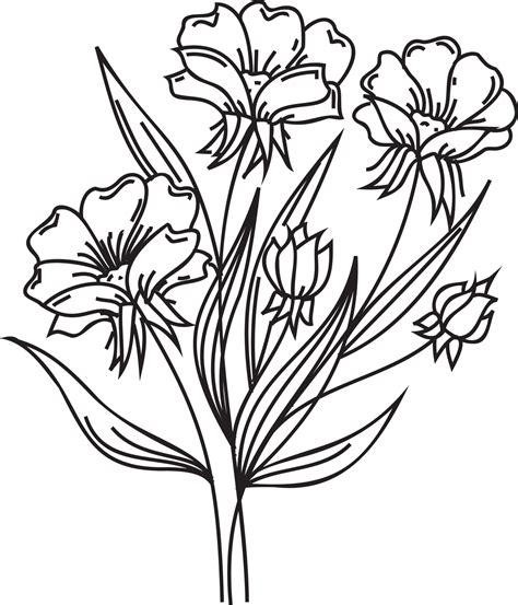 Flower line art illustration with black thin line. PNG with transparent ...