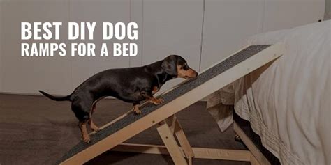 12 Best DIY Dog Ramps For A Bed – Reviews, Pros, Cons & FAQ