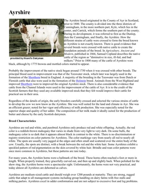 Dairy Cattle Breeds