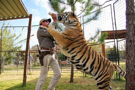 Tiger King’s Jeff and Lauren Lowe Surrender Their Remaining Animals — Species Unite