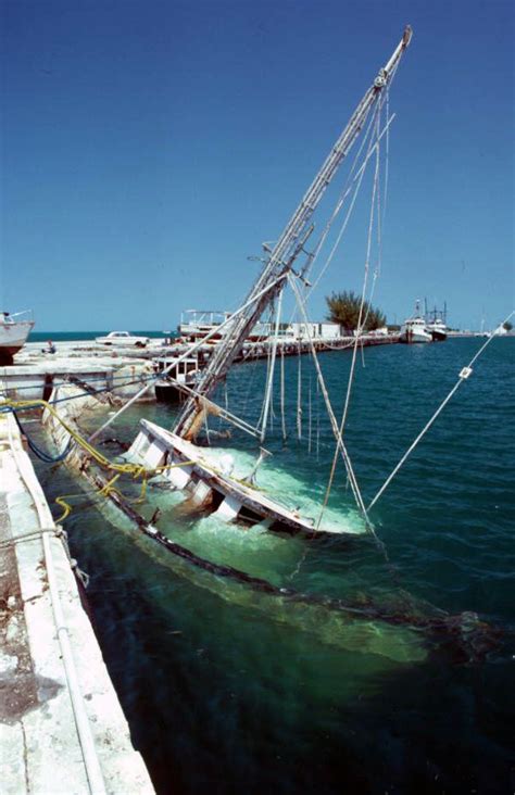 Florida Memory - Shrimp boat sunk inside the outer mole at the old Naval Station pier - Key West ...