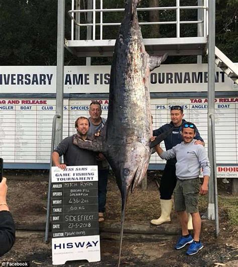 Fishermen reel in record-breaking mammoth 436kg swordfish making it ...