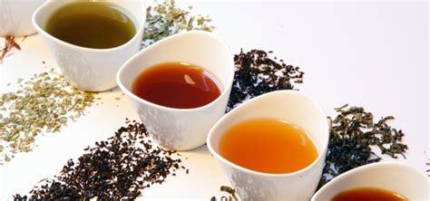 All About Loose Leaf Tea: Benefits, Sustainability, and More - Teatentional