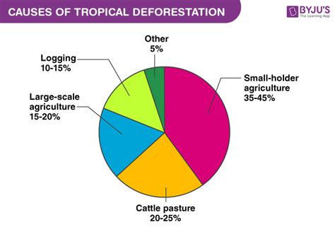 Deforestation - Causes, effects, Control of Deforestation with Videos and FAQs