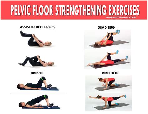 Pelvic Floor and Abdominal Rehab Exercises