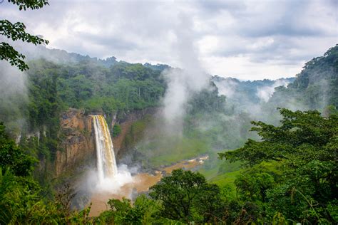 Chinese Agro Industries at the Heart of Massive Deforestation and Land ...