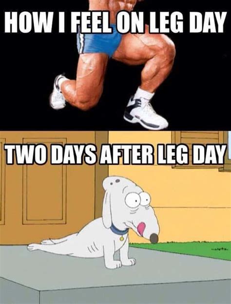 50 Hilarious After Leg Day Meme - Inspiring Pictures Quotes - SayingImages.com