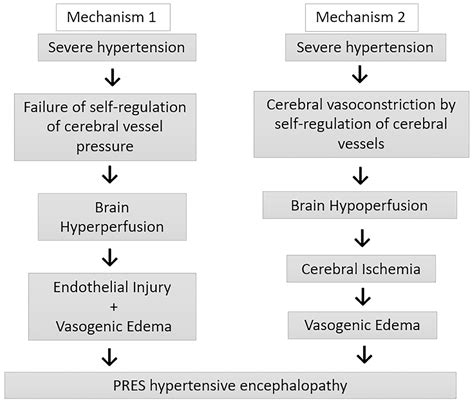 SciELO - Brasil - Reversible posterior encephalopathy syndrome in a 10-year-old child Reversible ...