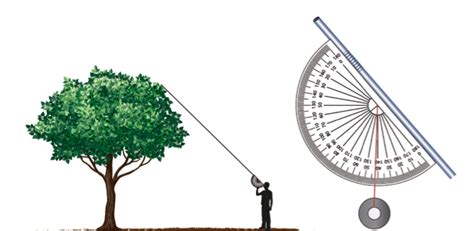 trigonometry - How do I properly read a clinometer? - Mathematics Stack Exchange