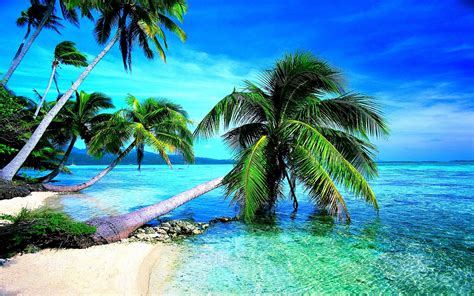 Tropical Beach Screensavers and Wallpaper (67+ images)