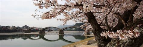 Iwakuni Travel Guide - What to do in Iwakuni