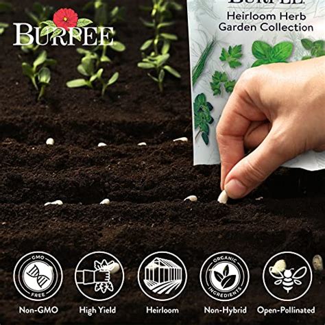 Burpee Heirloom Herb Seeds Variety Pack, Non-GMO, 16 Herbs - 15,000+ Seeds with Basil, Chives ...