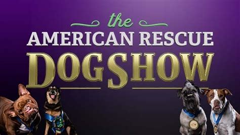 American Rescue Dog Show