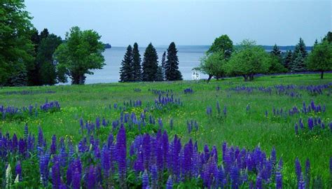 Lake Gogebic State Park - Lake Gogebic Area Chamber of Commerce