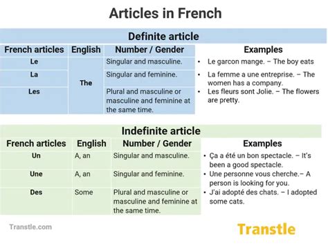 French Articles: List, Grammar, Examples, Exercises - Transtle