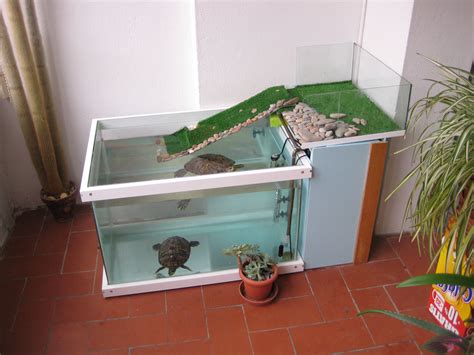 Bored Turtle | Tortoise Forum | Turtle habitat, Turtle tank, Pet turtle