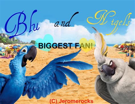 Blu and Nigel ID by Jeromerocks37 on DeviantArt