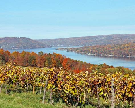 Scenic Autumn Vineyards on Keuka Lake, NY Winery Fine Art Photography Photo Print | Places ...