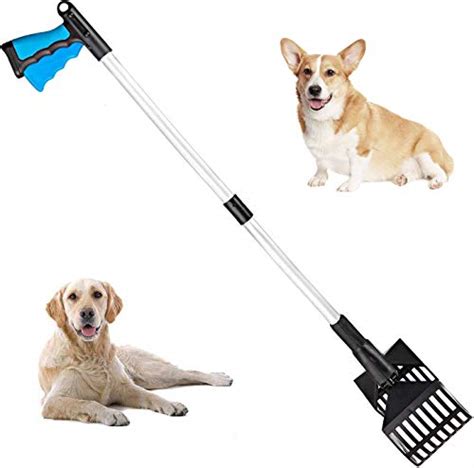 Best Pooper Scooper For Big Dogs [2021 Buyer's Guide]