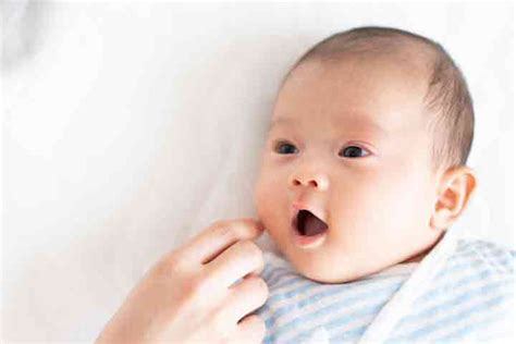 Rooting Reflex In Babies: What It Is and Why It Develops