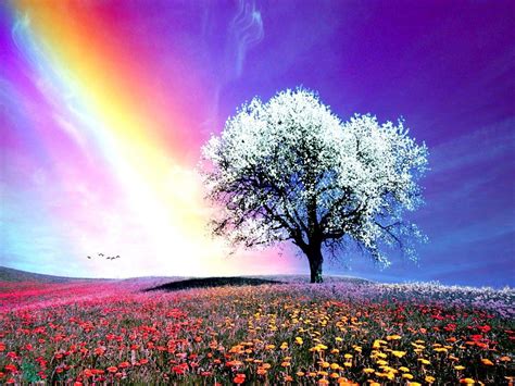 Rainbow Nature Wallpapers - Top Free Rainbow Nature Backgrounds ...