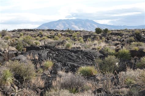 Pahoehoe lava - Carrizozo Volcanic Field, Lincoln County, … | Flickr