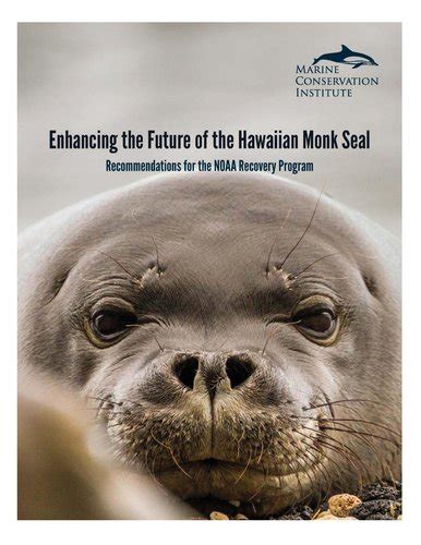 Hawaiian Monk Seals » Marine Conservation Institute