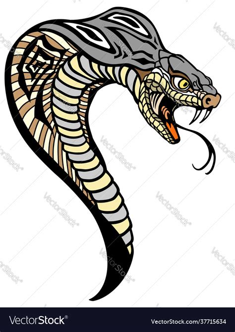 Cobra snake head Royalty Free Vector Image - VectorStock