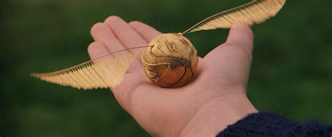 Image - Snitch 2.png | Harry Potter Wiki | FANDOM powered by Wikia