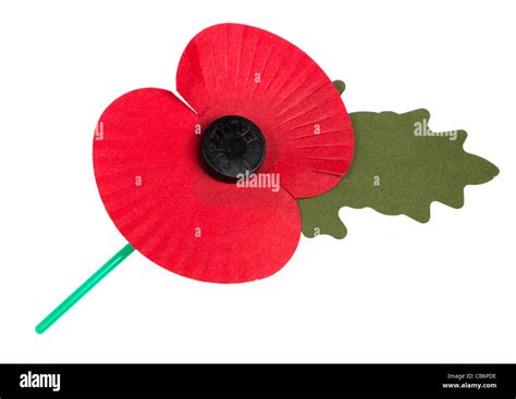 Remembrance Day Poppy Template