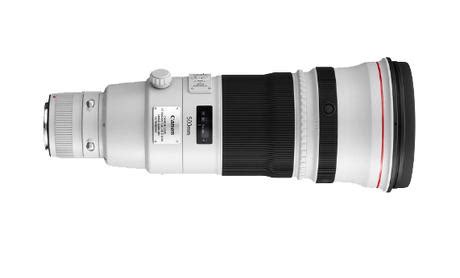 Wildlife Photography with Canon 500mm f4 L IS II Lens - Paperblog