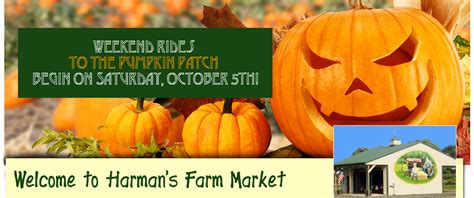Harman's Farm Market - CSA in Harford County, MD | Farm market, Pumpkin, Harford county
