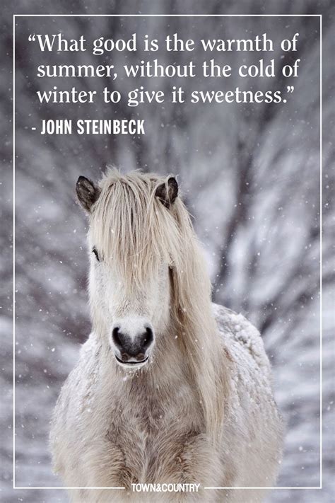 35 Best Winter Quotes - Cute Sayings About Snow & The Winter Season