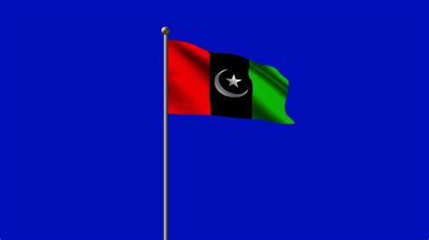 Ppp Flag, Greenscreen, Pakistan, Wind Sock, Party, People, Quick, Parties, People Illustration