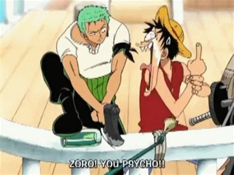 monkey d luffy roronoa zoro gif | WiffleGif