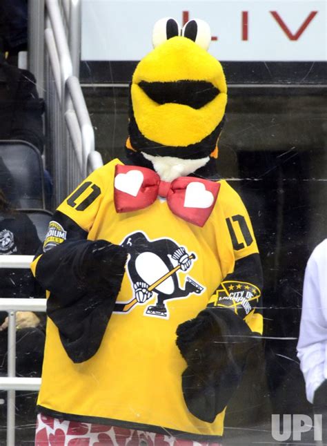 Photo: Pittsburgh Penguins Mascot Celebrates Valentine's Day ...